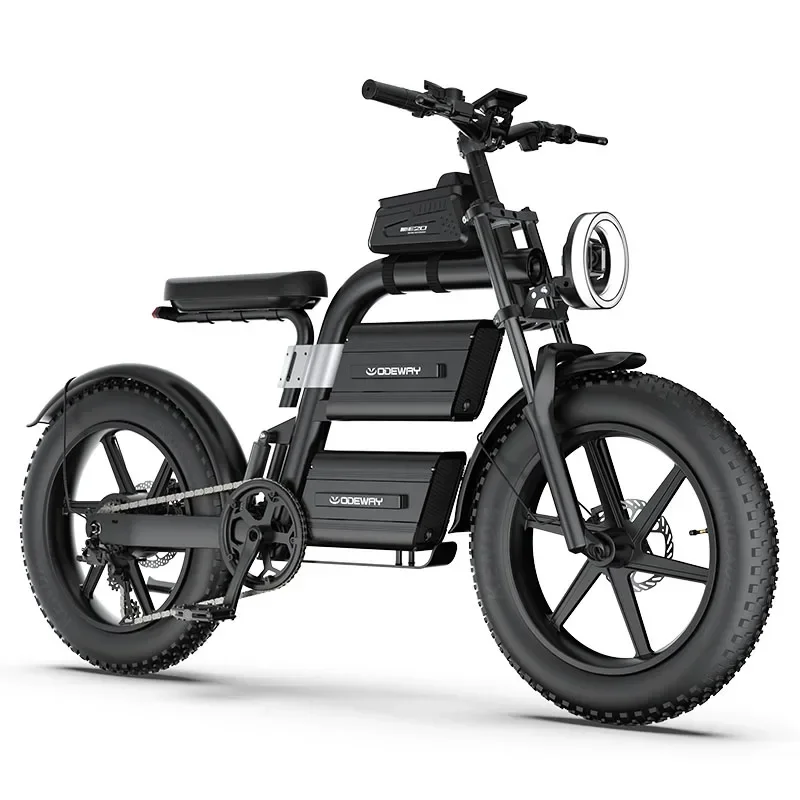 E20 New Design Dual Battery Electric Bike 20 Inch Fat Tire Off Road Ebike 2000W 60V Powerful Mountain Electric Bicycle