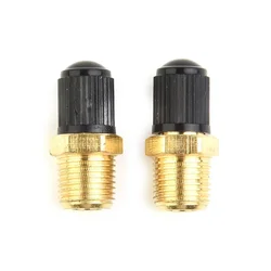 2pcs 1/8 Inch NPT Solid Brass Air Compressor Tank Fill Valve Anti-rust Hexagonal Valves W/ Installed Core Black Plastic Cap