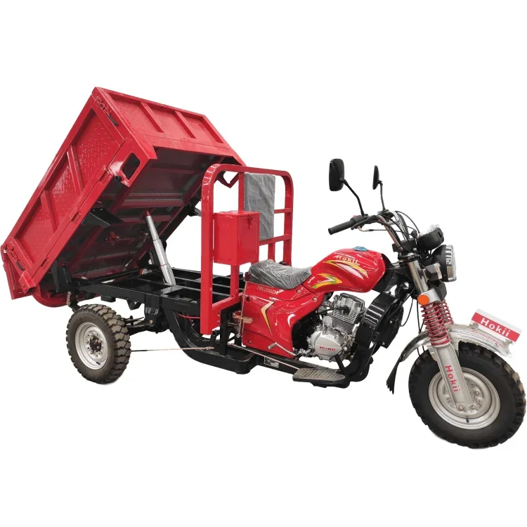 200cc Gasoline  three wheel Adult Tricycle Motorcycle Motorized Tricycles