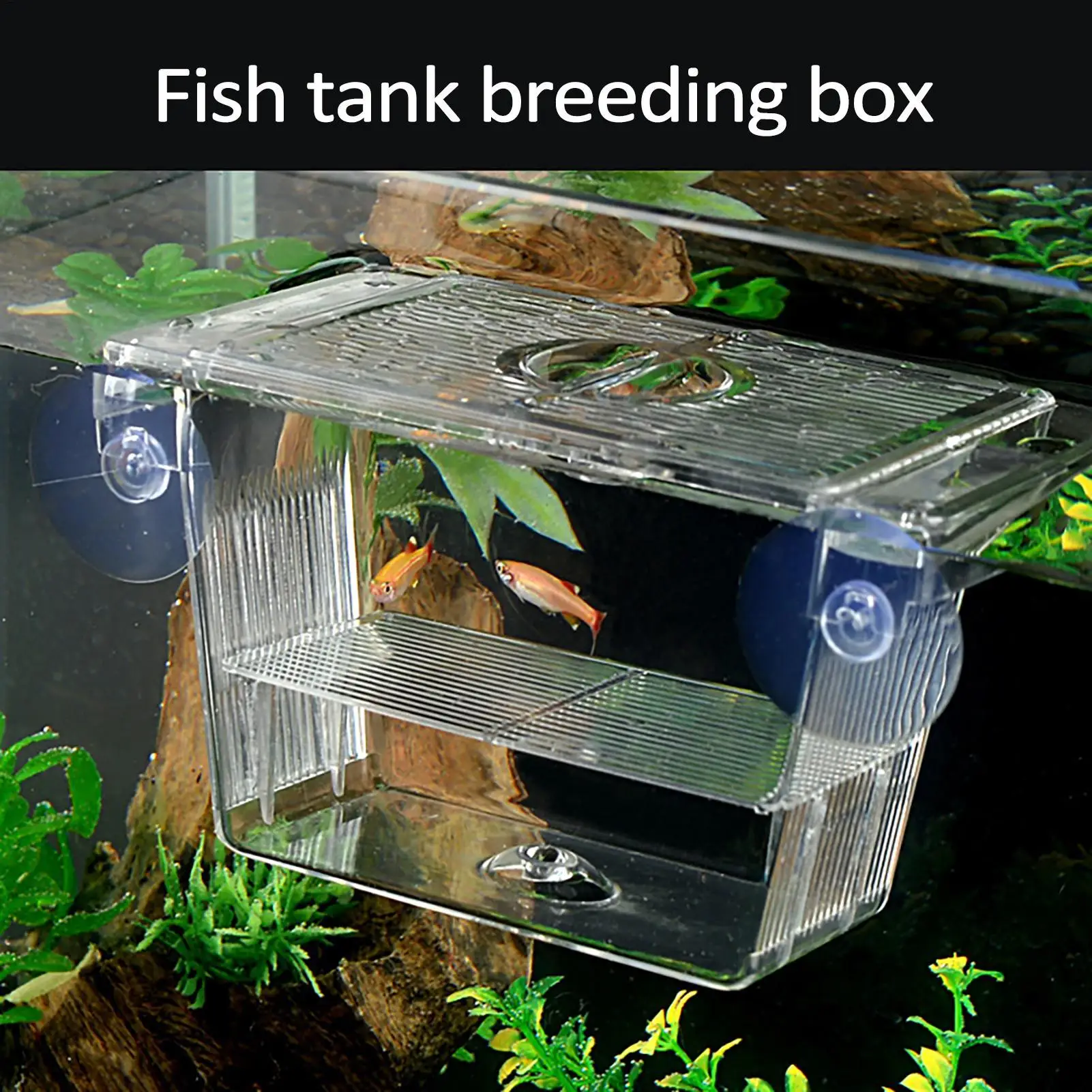 Aquarium-Zubehör Acryl-Fischzuchtbox Aquarium-Züchterbox Doppel-Fischbrutkasten
