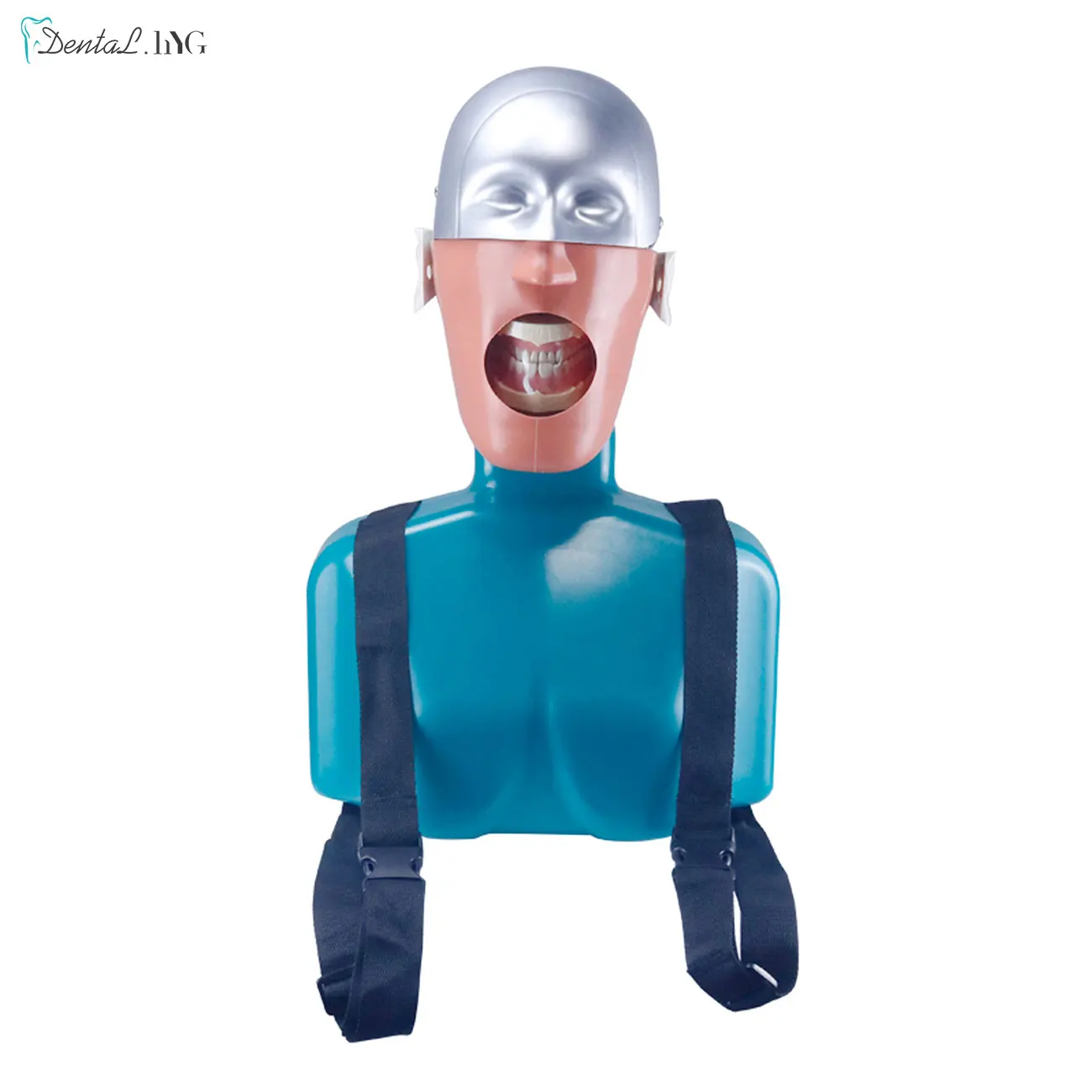 

Dental Simulation Head Model Dental Implant Model Dentistry Manikins Phantom Head Oral Student Teaching Practice Tool