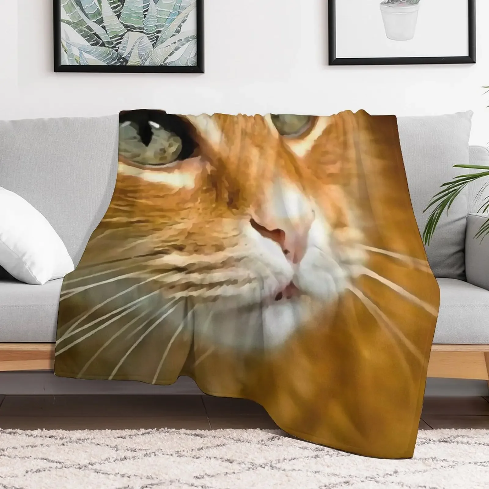 Adorable Ginger Tabby Cat Posing Artistic Pet Portrait Throw Blanket Moving Giant Sofa Blankets