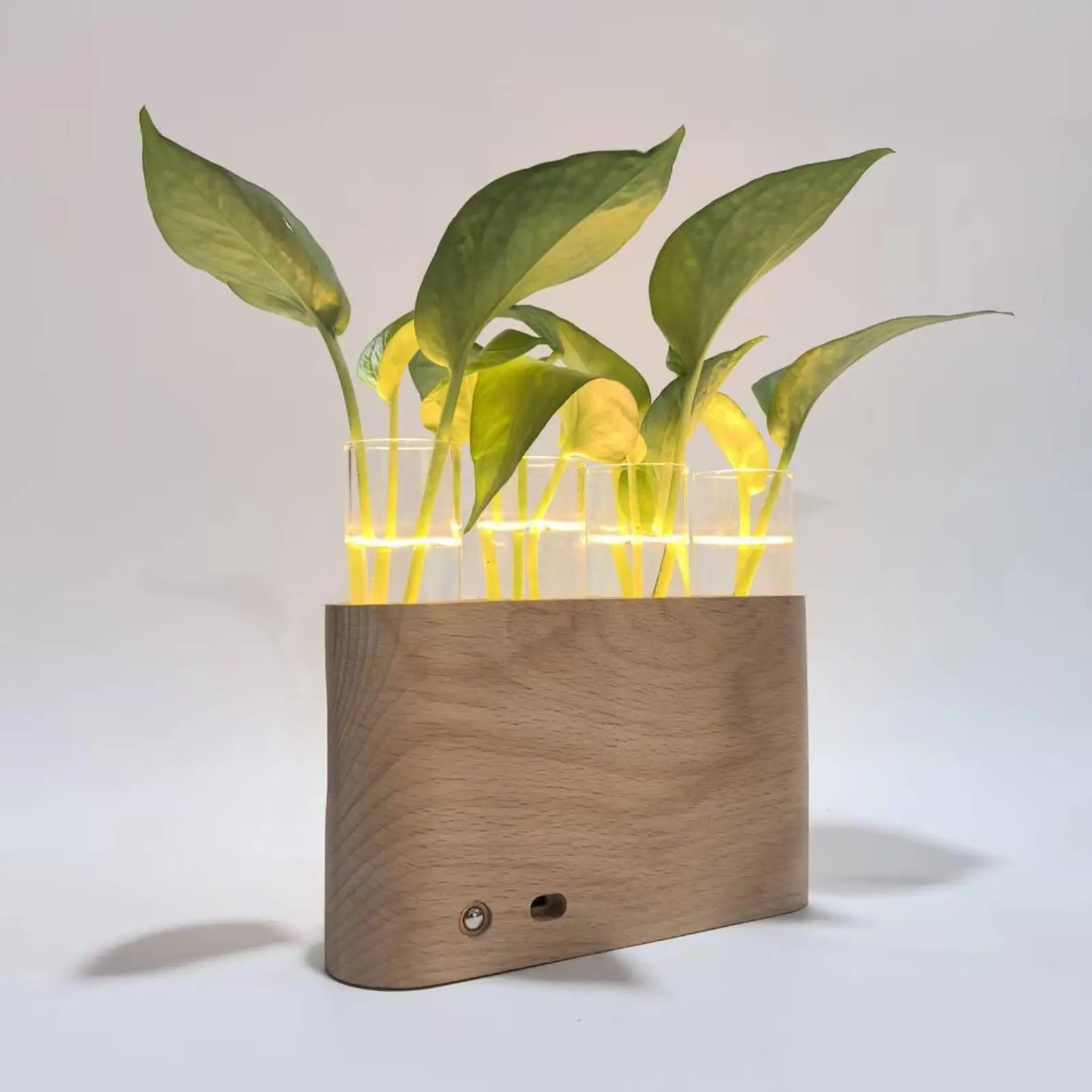 

Ваза для размножения, декоративный гидропонный террариум со светодиодной подсветкой, стеклянная ваза для цветов для гидропонных растений для мужчин, женщин, молодежи