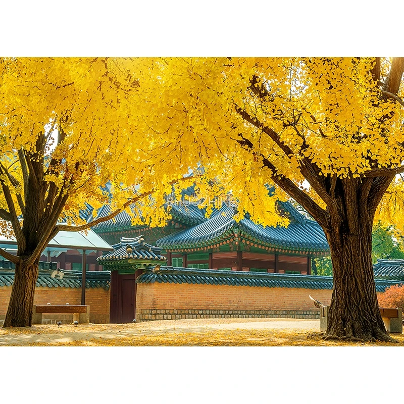 Fotorealistyczna tkanina naturalna sceneria fotografia tła drewniana podłoga łąkowa motyw Photo Studio tło rekwizyty 21812 DFZ-01