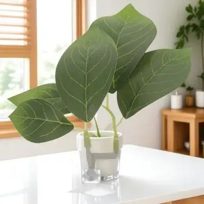 

Hammock Realistic Breeding Plastic Fish Tank Resting Spot Spawning With Suction Cups Decorative Betta Fish Bed Aquarium Leaf