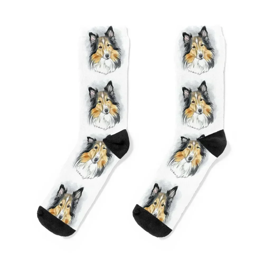 0213(2) Socks set gift christmass gift Men's Luxury Woman Socks Men's