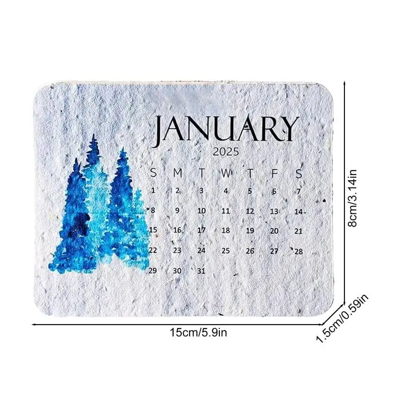 2025 تقويم قابل للطي لمدة 12 شهرًا، تقويم منزلي، تقويم يومي، تقويم إبداعي جمالي للمدرسة المنزلية