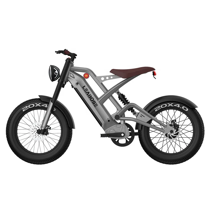 

STLF Aluminum Frame 1000w 48V 20ah Electric Bicycle 26" Electric Bike E Bike 80km Fast Speed Ebike 7 Speed Electric Mountain Bik