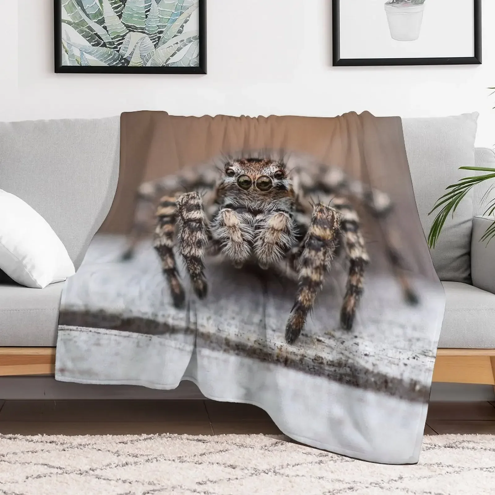 Cute Jumping Spider Macro - Jumping Spider Lovers Gift Throw Blanket valentine gift ideas Soft Plaid Blankets