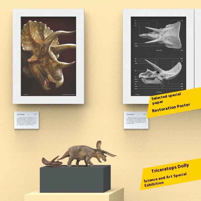 

New Dinosaur Museum Triceratops Dolly with Triceratops Head Bone 1:35 Scientific and Artistic Model Accurate Restoration gift