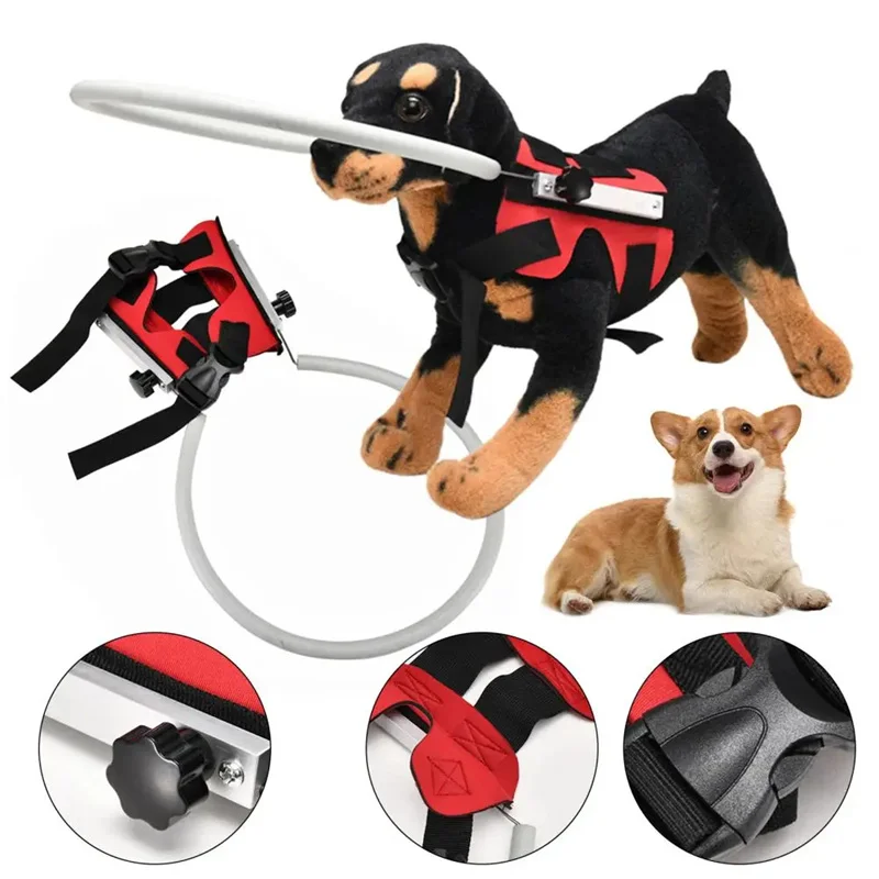 Blind Dogs Pet Safe Harness Anti-collision Ring Pets Guide Circle Animal Protection Collar Rings For Blind Dogs Prote