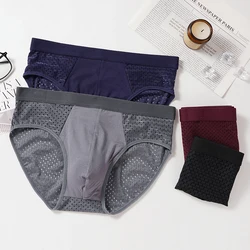 3 Pcs/Lot Men's Bamboo Mesh Briefs Underwear Hombre Hole Large Size Sexy Panties Male Shorts Lingerie Breathable Underpants