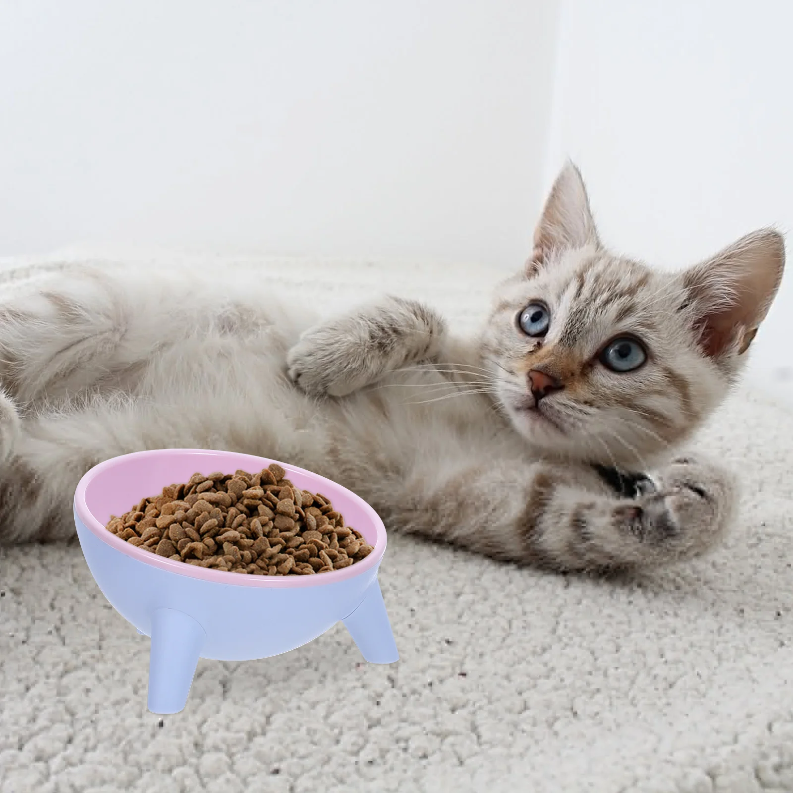 

Stable 15 Degree Inclined Pet Bowl Anti-Slip Design for Cats Dogs Resin Material Multi-Function Water Can Food Holder