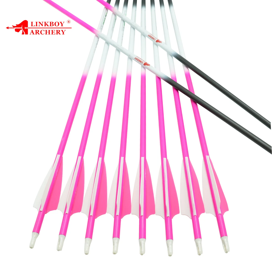 

Linkboy Archery Carbon Arrows 12PCS ID6.2mm Spine300-800 3" Vane Nock 75gr Tip for Compound Bow Hunting