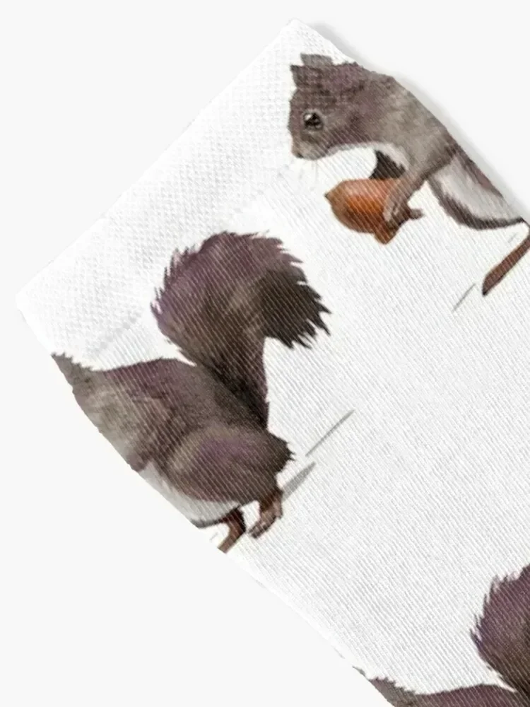 Squirrel! Socks compression cartoon shoes cool Socks Male Women's