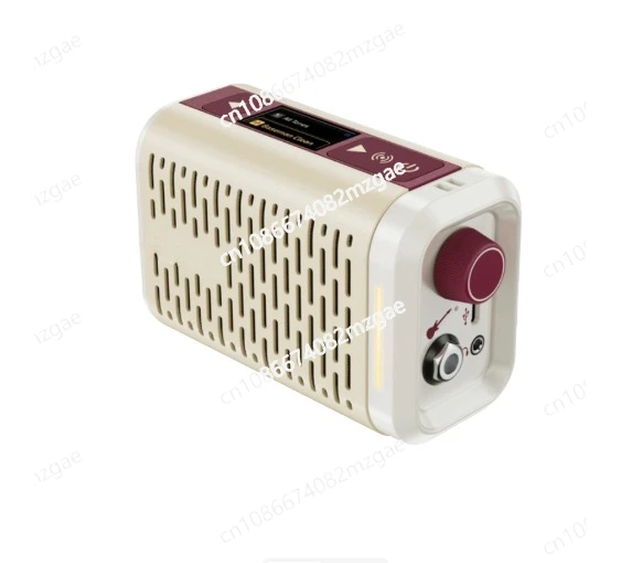 

Hotone Pulze Mini Ultra-compact mini modeling amplifier for guitarists, bassists, and acoustic players