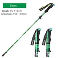 2Pcs Short Green