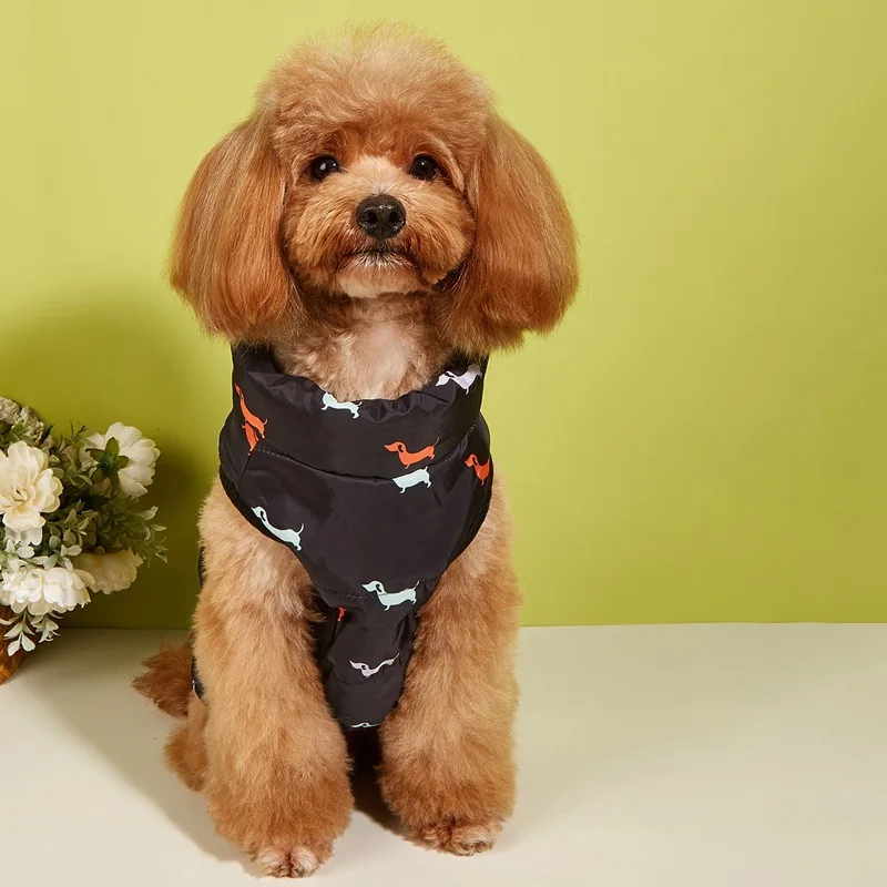 Hundejacke mit Leinenclip für Haustiere, Hunde-Baumwollmantel, Teddy- und Pomeranian-Weste, Wärme – bietet Unterhemd