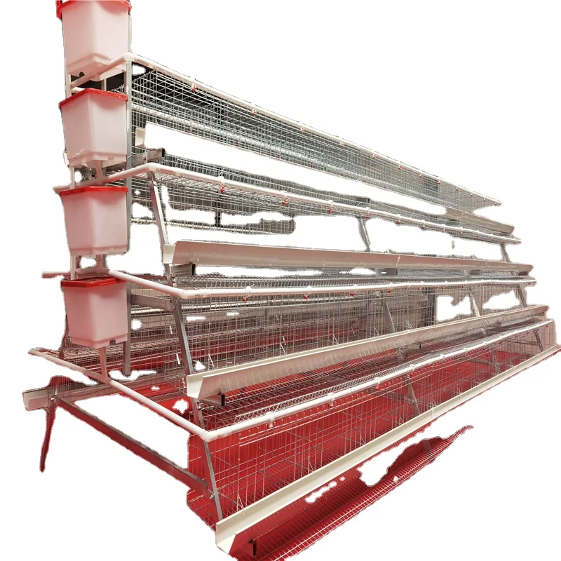 

The fourth floor of the chicken coop has five doors and stairs, and the laying chicken cage is trapezoidal in the chicken farm.