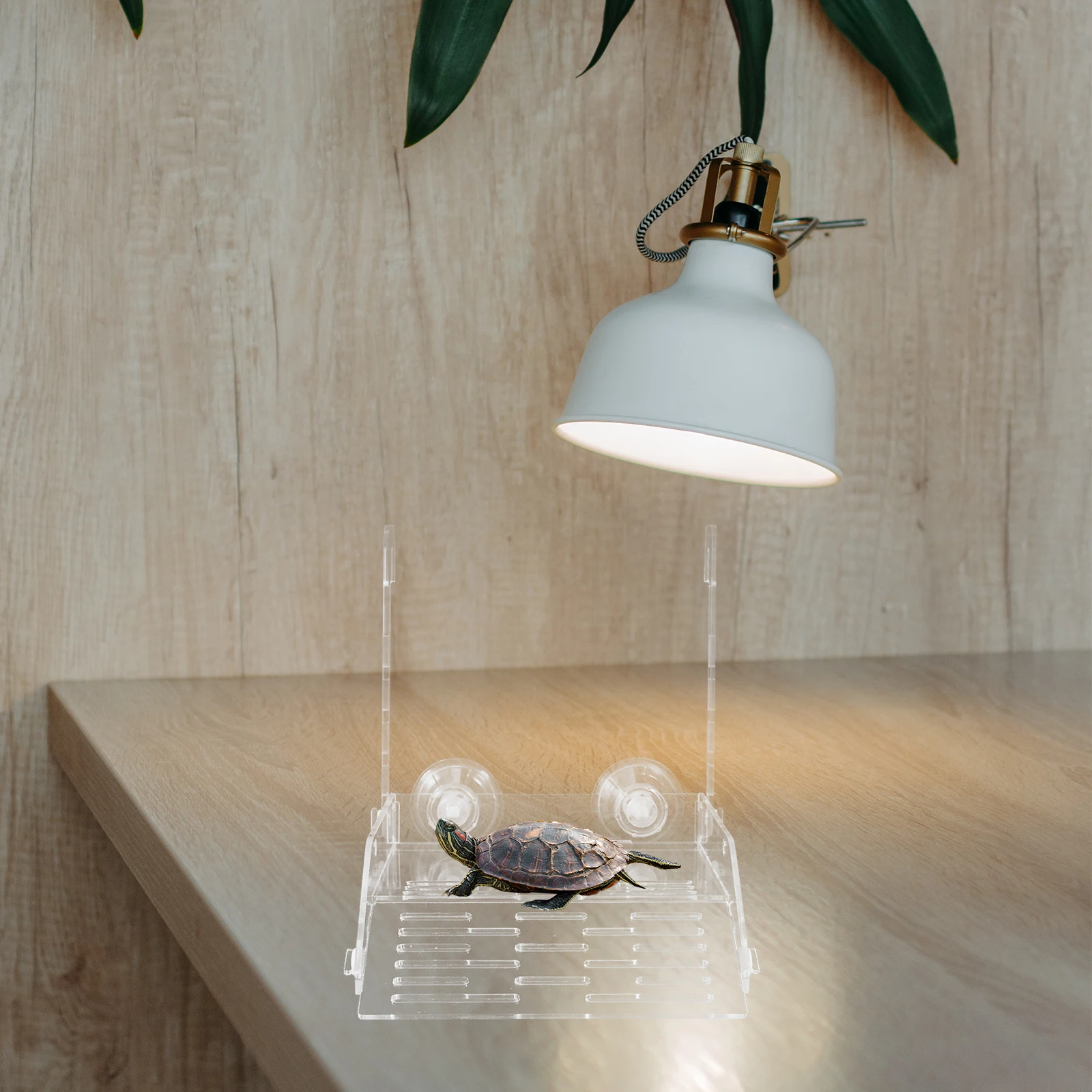 

Acrylic Turtle Basking Platform Terrarium Decor Hanging Climbing Ramp for Aquatic Turtles Reptile Tank Habitat