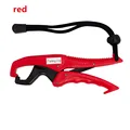 Red L code