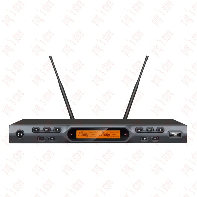 Arrival High Quality Wireless Microphone 2*100CH