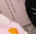 

Cute Cartoon Cat Keychain Plush Doll Pendant Keyring For Women Girls Bag Ornament Car Key Chain Gifts Accessories
