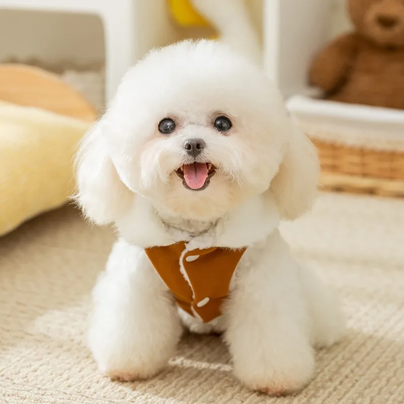 Solid Color Dog Clothes Winter Thickened Teddy Cotton Clothes Cute Wind Sleeveless Vest Yorkshire Fleece Sweater Dog Products image 2