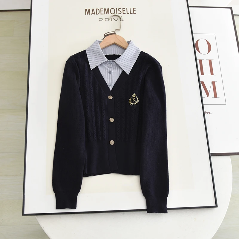 

Осенний дизайн 2023, вязаный свитер Ne Long Sve, цвет Blo College Sle, женский двухсекционный свитер премиум-класса Faion