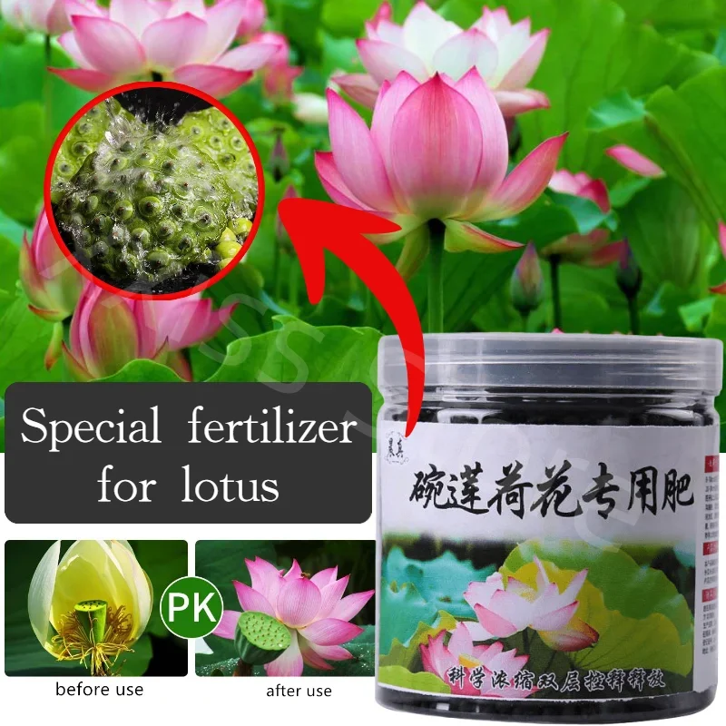 

Special Garden Fertilizer for Lotus Aquatic Plants, Base Fertilizer, Full Nutrition Slow-release Fertilizer Nutrient Solution