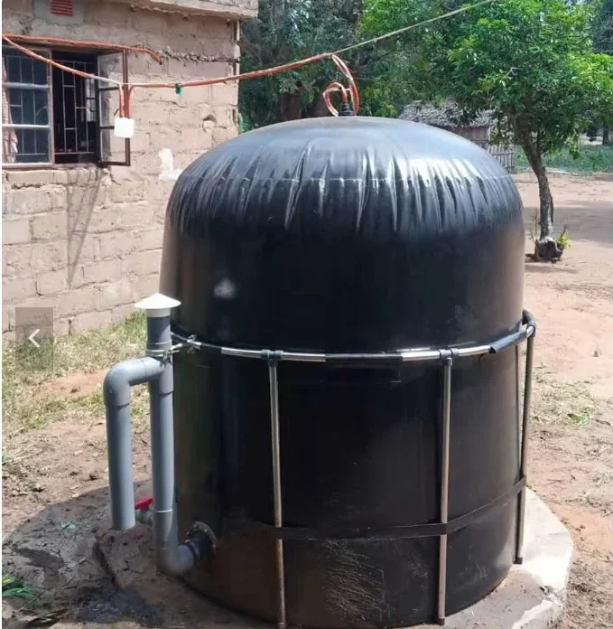 Small Home Biogas Digester System Plant Convert Household Food Residue Organic Waste to Cooking Gas Fuel