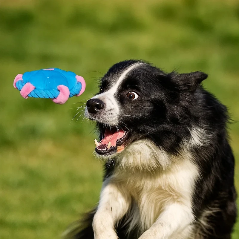 Frisbee en corde de coton pour chien, jouet interactif pour l'entraînement, la mastication, le nettoyage et le nettoyage des dents