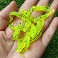 GD45 10pcs 05