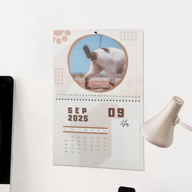 12 Month Cat Butthole Calendar Cat Balls Wall Calendar Monthly Calendar Wall Decor Thick Paper 12 Month Calendar Cat Butt 2025