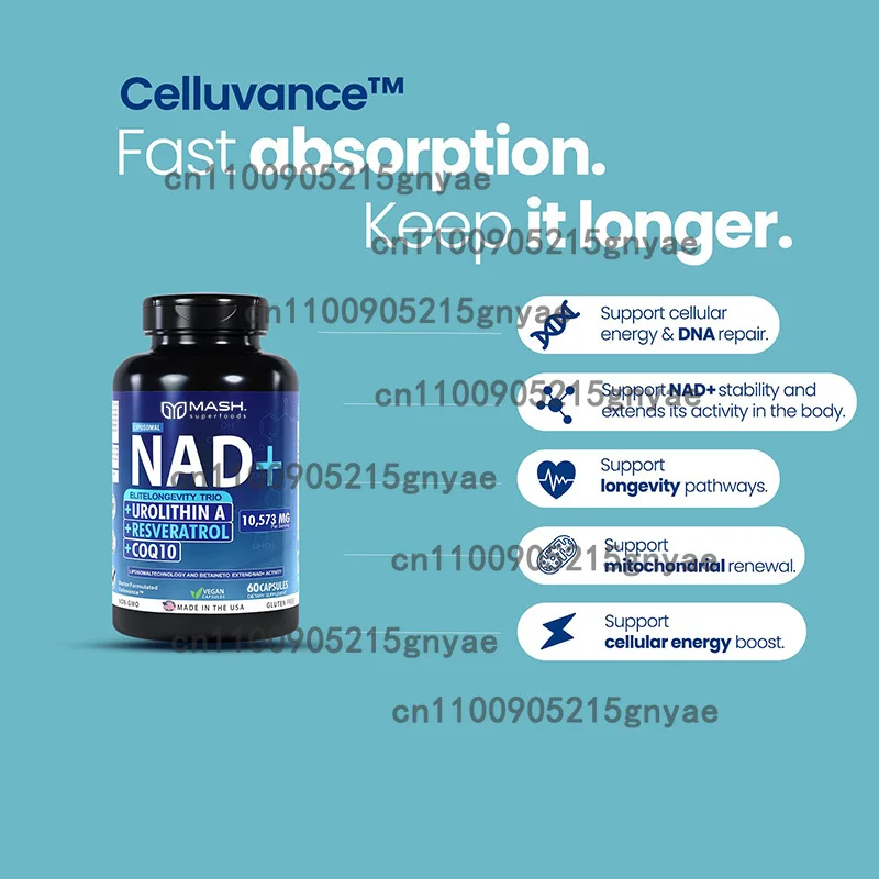 NAD+ and Resveratrol Supplement Healthy Aging - Strength Capsules Help Support Cell Regeneration Natural Energy Focus and Memory