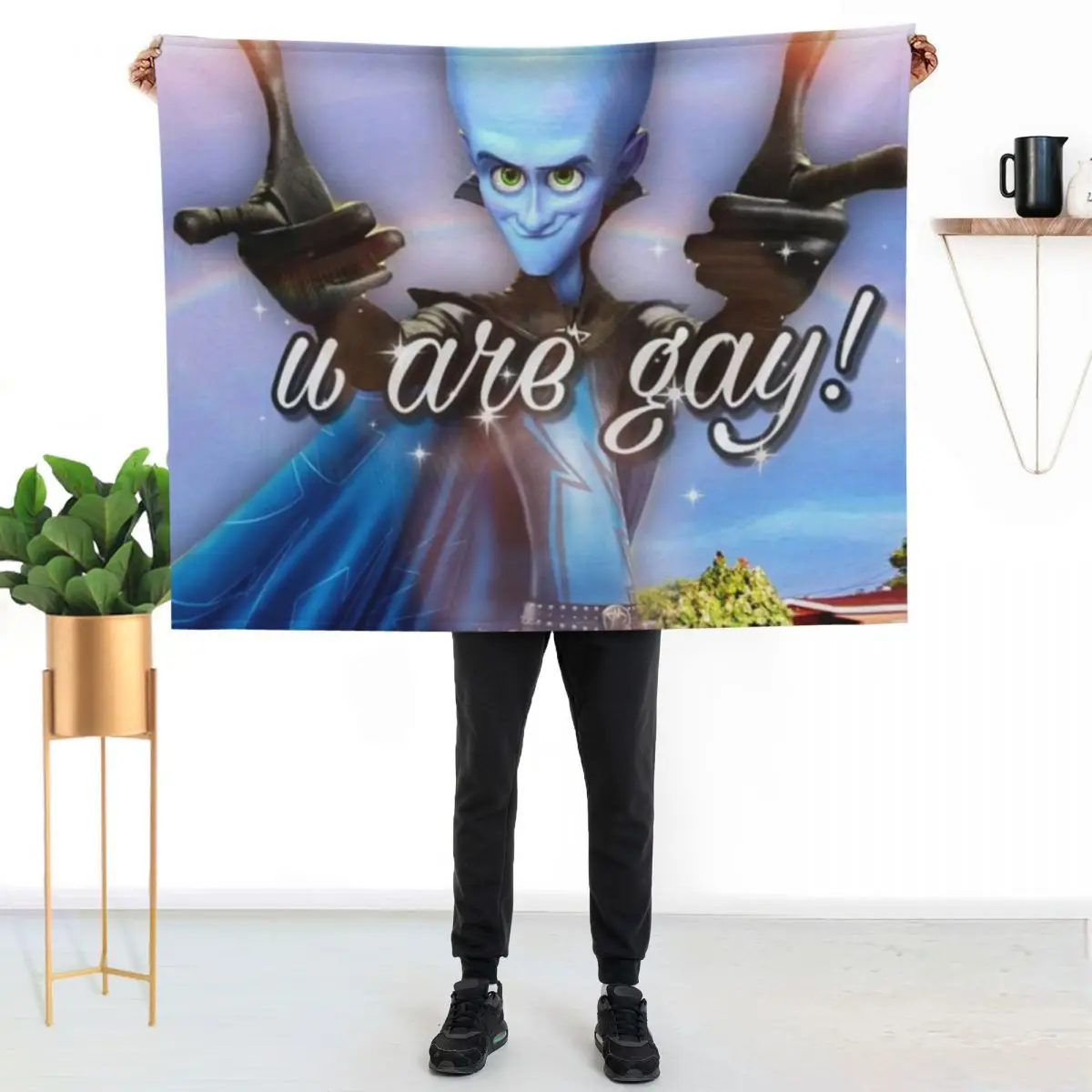 Megamind U Are Gay! Meme Throw Blanket couch cozy soft plush fuzzy picnic outdoor blanket