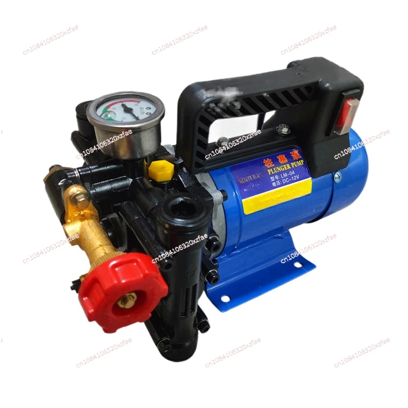 Portable plunger pump 12V24V48V60V220V electric sprayer double cylinder high pressure fruit tree spraying pump