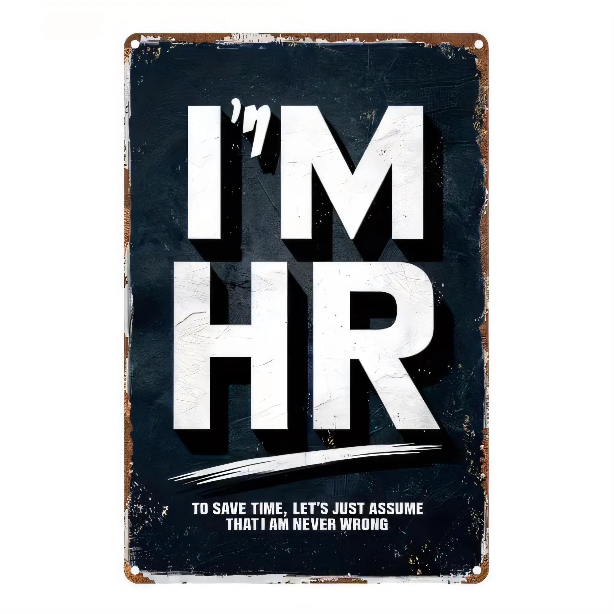 Tin Sign I'm Funny Retro Office Wall Art Metal Plaque for Workplace Decor Man Cave Bar Pub Garage   To Save Time Let's Just Assu
