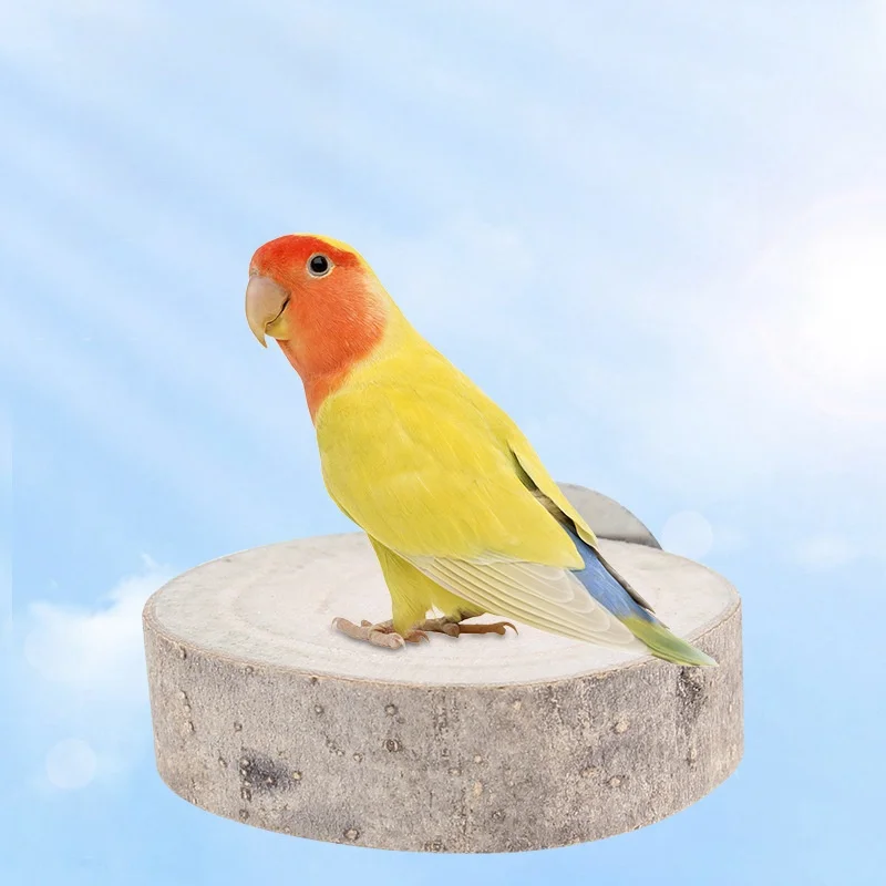 1pc Random Color Circular Wooden Jumping Board Parrot Stand Toy for Small Pet Parrot Hamster Squirrel Bird Cages Accessories Toy