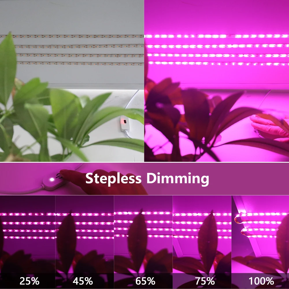 Imagem -04 - Luz de Tira Led de Espectro Completo Phytolamp Hidropônico para Plantas Growbox Ip65 Impermeável 5v Usb 3m