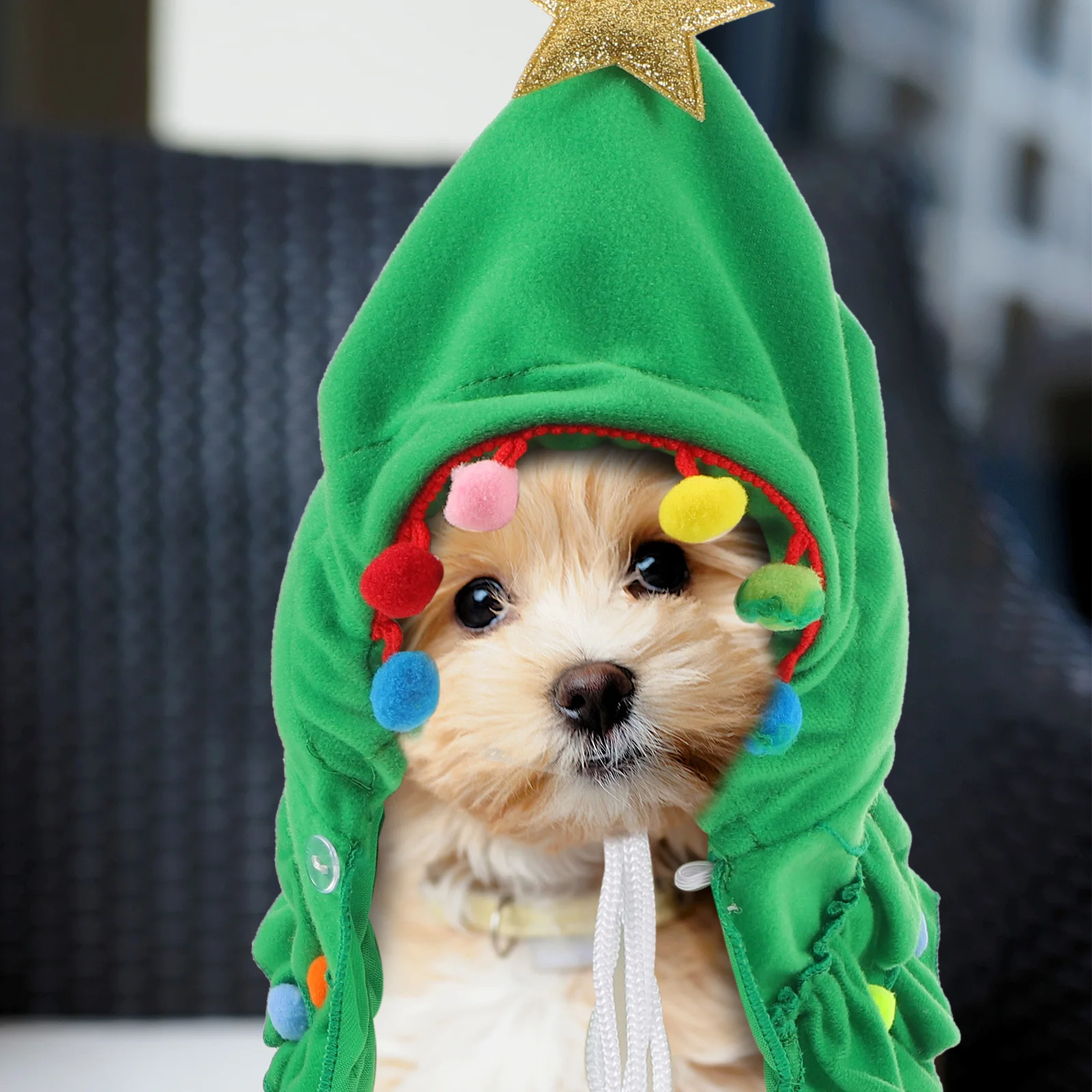 

Dog Christmas Outfit Elf Costume Christmas Tree Pet Cape Star Pompoms Holiday Cat Cloak Hooded Santa Clothes Small Puppy