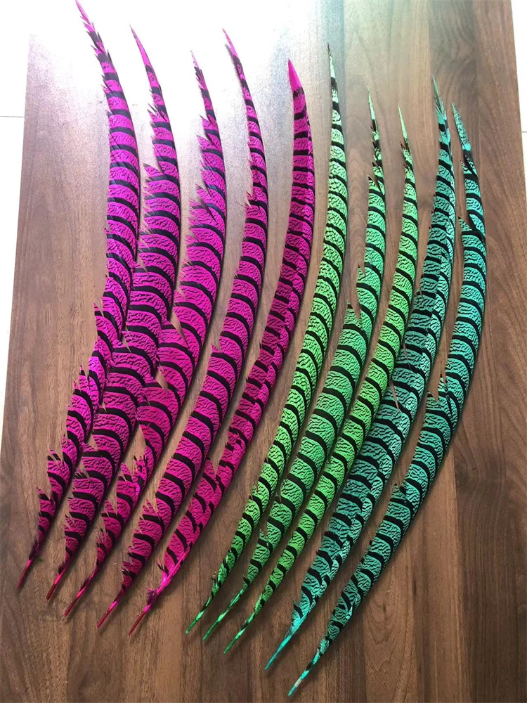 5PCS Hot Pink Dyed Zebra Pheasant Tail Feathers Natural Lady Amherst Pheasant Feather Plumes Carnival Backpieces Making Plumas