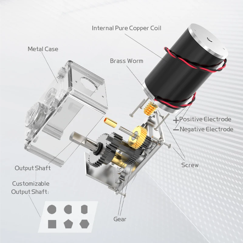 Imagem -06 - Worm Gear Motor Frente e Reverso Velocidade Ajustável High Torque Escovado dc Motor 588250zy 12v 24v 1.5rpm440rpm