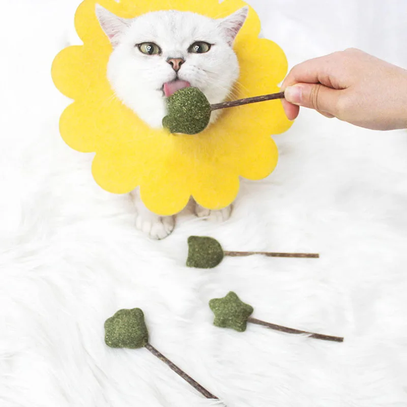 

1pcs Catnip Stick Ball Toy Safety Healthy Chew Toys Cleaning Teeth Interesting Cat Molar Stick Different Shape Toys Pet Supplies