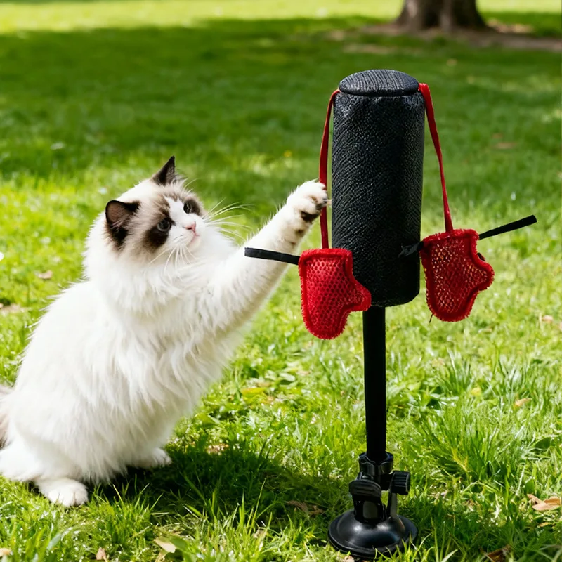 Interactive Cat Boxing Toy Cat Punching Bag Self-Standing Play Gym for Kittens Stress Relief Cat Toy Durable Scratch Trainer