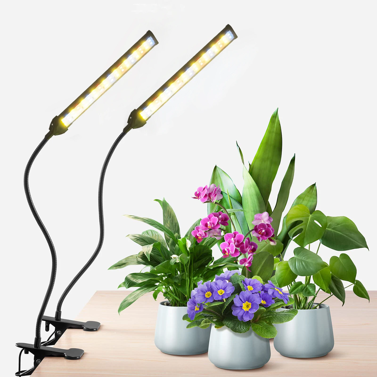 

Grow Light 100W 6000K, Super Bright White Desktop Clip Plant Lamp for Seedlings Succulents Seeds Starting Indoor Plants Growing