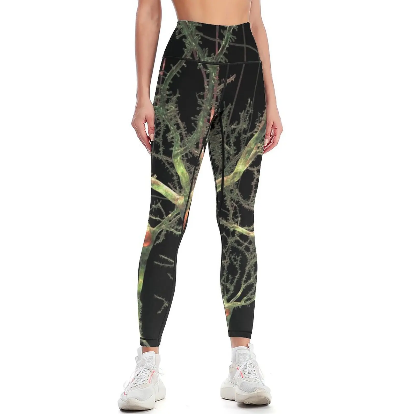 

Neurons or Brain Cells Leggings sports shirts gym Women's sportswear sportswear gym Womens Leggings