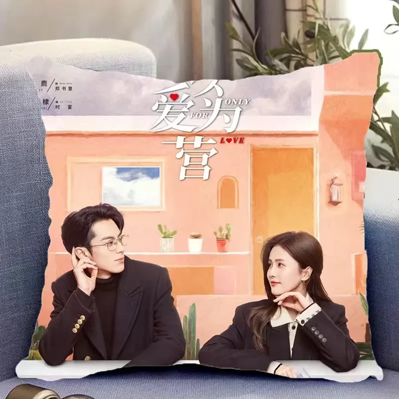 Dylan Wang Hedi Bai Lu HD Poster Double-sided Printed Pillowcase TV Only for Love Drama Stills Home Car Decor Cushion Cover