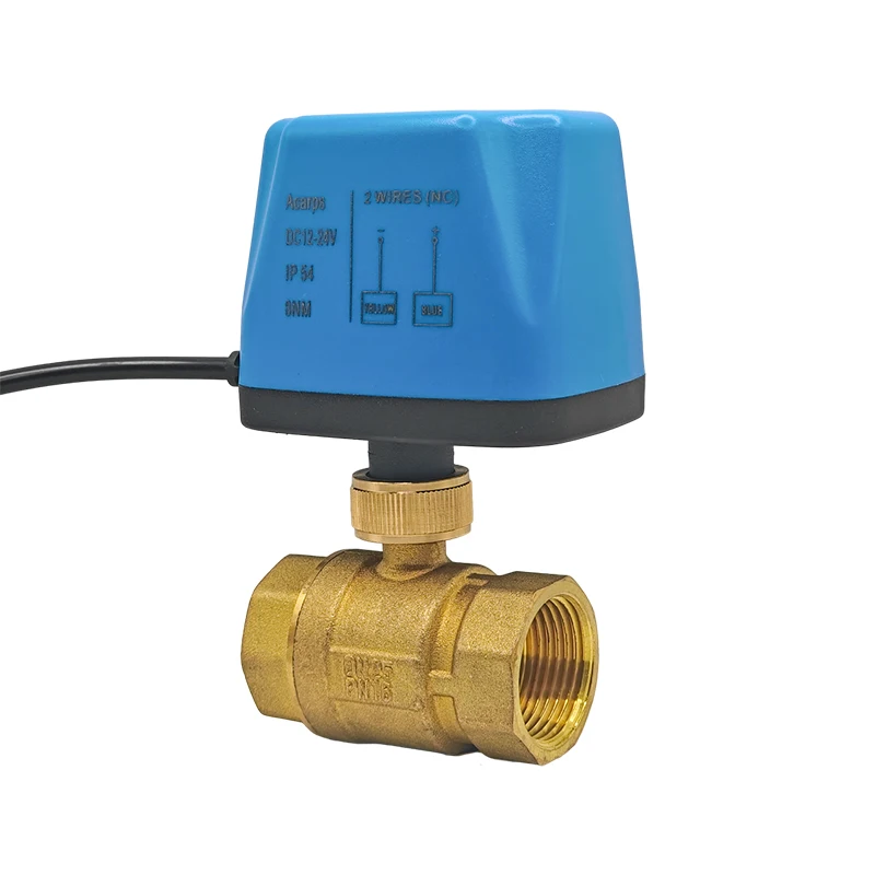 Acarps Vollmessing Motorisiertes Kugelventil Normalerweise Geschlossen/Normalerweise Offen 2-Draht 1/2' 3/4' 1' Innengewinde 12V 24V 110V 220V – Detail 16