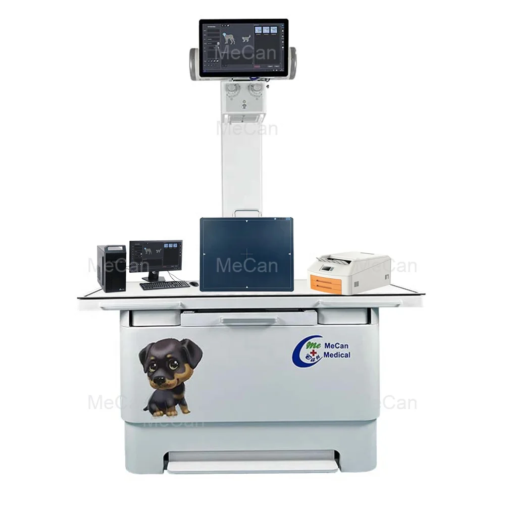 Stationary Animal X-ray Radiography Equipment Pet X Ray Machine Table Bed Portable Digital Veterinary Xray Machine For Vet